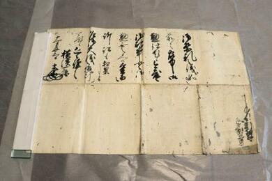 秀吉弟、秀長にまつわる書状発見 垣間見える国統治の一端 | 新潟日報