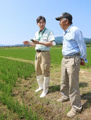 JAえちご上越の営農指導員から「戦略営農Navi」を使った指導を受ける男性(右)=上越市飯