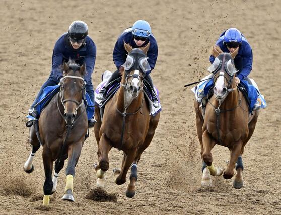 天皇賞・秋の最終追い切りで調整するアーバンシック(中央)=美浦トレーニングセンター