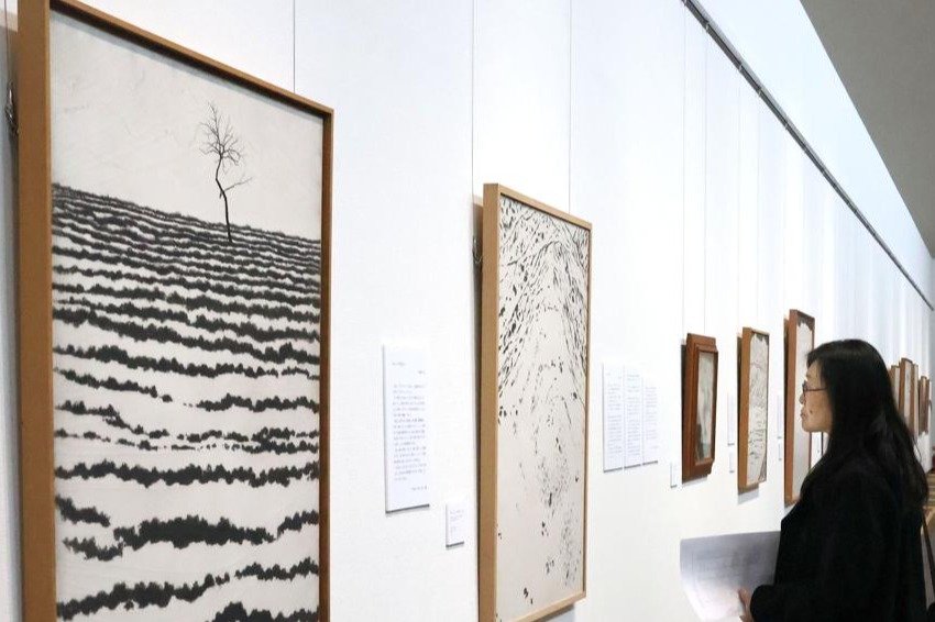 雪国の自然、上空から俯瞰描写 南魚沼市トミオカホワイト美術館で「鳥