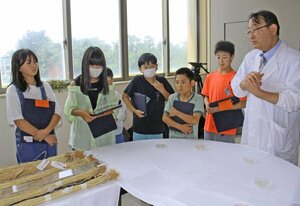 三ツ井敏明特任教授(右)から新大コシヒカリについて学ぶ大鷲小学校の児童=新潟市西区五十嵐2