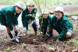 スキー場跡地に苗木を植える上野小の児童=十日町市中屋敷