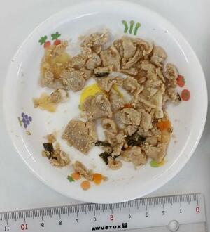 給食として出された薄切り肉などの離乳食=2024年10月(札幌市提供)