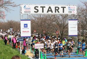 桜が立ち並ぶ堤防を駆けるランナーら=4月6日、燕市五千石