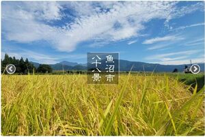 魚沼市八十八景のホームページ