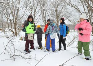 スノーシューを履いて林を散策する参加者=2月24日、妙高市関山