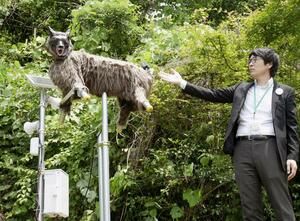 ファミリーマート日野屋黒保根店の脇に設置した、野生動物撃退装置「モンスターウルフ」=24日、群馬県桐生市