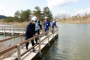 ふるさとトンボ池で点検する羽越河川国道事務所の職員ら=4月9日、関川村