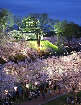 満開となった高田城址公園の夜桜＝５日、上越市