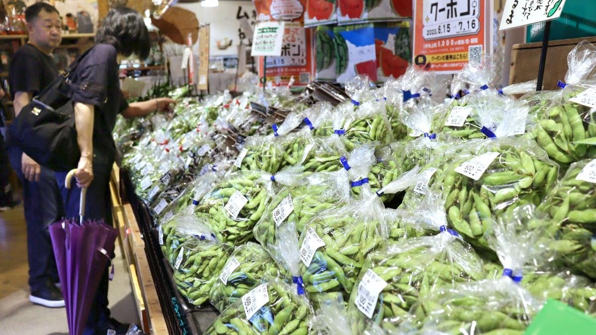 新潟の枝豆、冷凍でもおいしく♪ 食感と色、新技術でキープ！ 県農業