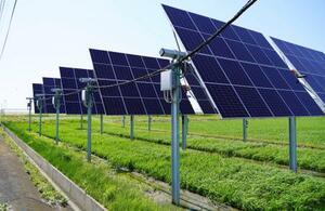 千葉県木更津市で出光興産が実証実験を行う営農型太陽光発電の設備=6月