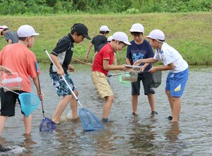 水中の生物を採取する富曽亀小の児童=長岡市西川口
