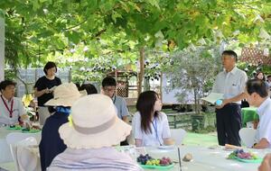ブドウ棚の下で、情報交換や試食をする農園関係者=新潟市南区鷲ノ木新田