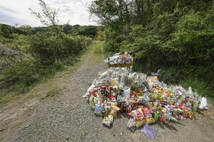 　遺体が遺棄された現場付近に供えられた花や飲み物など＝４月２２日、京都府南丹市