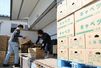 出荷場に集まったキャベツをトラックに詰め込む出荷作業の様子＝６月３日、三条市石上３