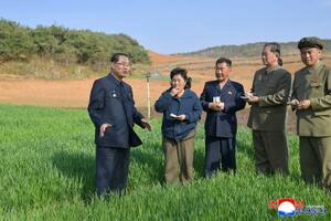 農場を視察する北朝鮮の朴泰成首相(左端)(朝鮮通信=共同)
