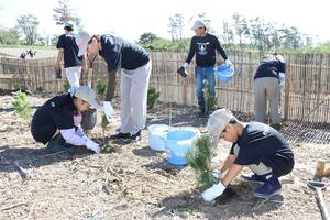 クロマツを植える参加者たち=胎内市村松浜