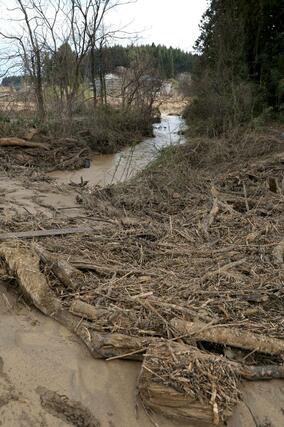 流木や土砂がたまり、水があふれた取水堰周辺＝６日、上越市向橋
