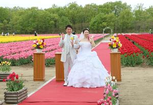 チューリップの花畑を舞台に挙式した新郎新婦＝２９日、胎内市築地