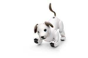 　ソニーグループの「ａｉｂｏ」（同社提供）