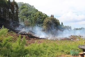 村上市小揚で発生した森林火災＝３日午後２時ごろ
