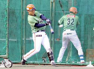 フリー打撃で打ち込む園部佳太=静岡県伊豆市の志太スタジアム