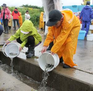 矢代川に注ぐ水路にアユの稚魚を放流する斐太北小児童=妙高市