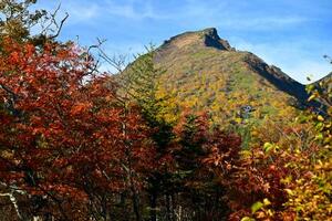 紅葉が見頃を迎えた北海道・大雪山系の黒岳=28日午前