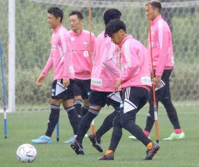 ｊ２アルビ新潟 まだ間に合う サポーター入門ｑ ａ ほぼ毎試合ゴール どうして今季は強い 新潟日報デジタルプラス