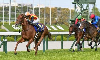 桜花賞、スターアニスが優勝 競馬、2着はギャラボーグ | 新潟日報