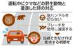 　運転中にクマなどの野生動物と遭遇した時の対応