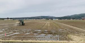 ＯＮＯＤＥＲＡ　ＧＲＯＵＰが地元農園から引き継いだ水田＝関川村（同社提供）