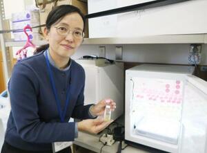 培養したビゲロイの入った容器を手にする萩野恭子さん