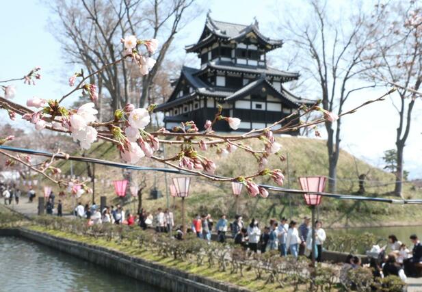 ３日、高田城址公園