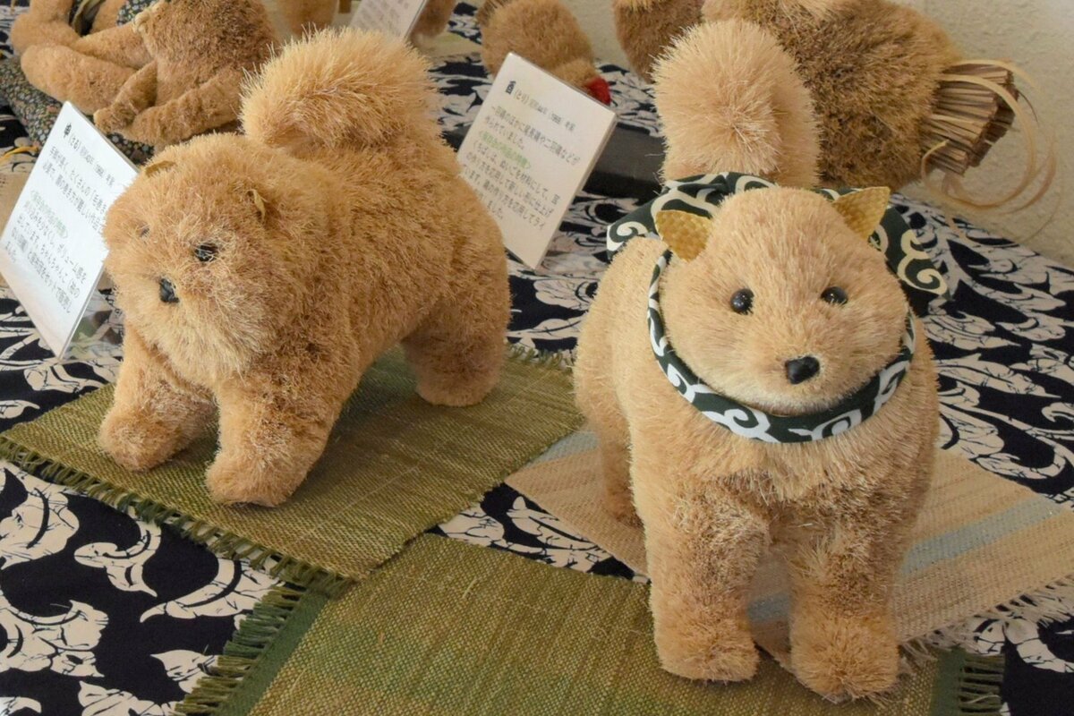 平丸スゲ細工の魅力伝えたい！ 新潟県妙高市の保存会振り返る展示会