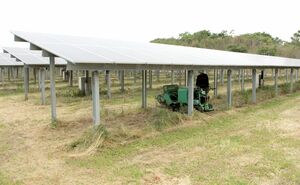 農業と太陽光発電を同時に行う「ソーラーシェアリング」の設備=新潟市西蒲区