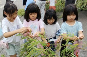 交通安全と願い事がかなうよう七夕飾りをする園児=津川署