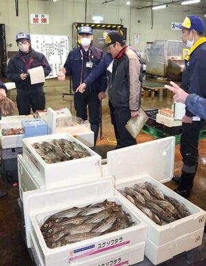 威勢の良い声が響く中、次々と魚介類が競り落とされた長岡中央水産の初競り=5日、長岡市新産1