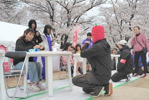 加治川桜・越後の姫まつりのいちご早食い選手権=13日、新発田市