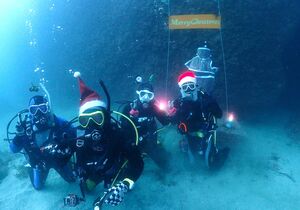 クリスマス気分を楽しむ参加者＝８日、佐渡市琴浦沖（佐渡スキューバダイビング協会提供）
