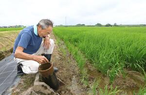 調整管を入れて「田んぼダム」にした水田と整備に協力した農家の男性=見附市葛巻西町