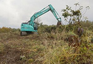 魚野川河川敷で行われた重機を使った草木除去＝南魚沼市泉新田