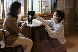 「ほご猫カフェねこまち」で接客に当たる名古屋奈津子さん(右)=見附市今町5