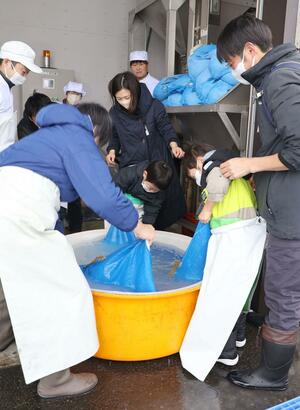 酒米の洗米体験をする参加者ら＝上越市吉川区