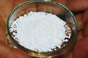 ミドリムシ由来の原料「パラミロン」=3月、茨城県つくば市