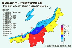 2月21日午前6時~午後6時の最大降雪量予想