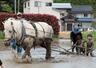馬と一緒に田んぼを耕す子どもたち=上越市滝寺