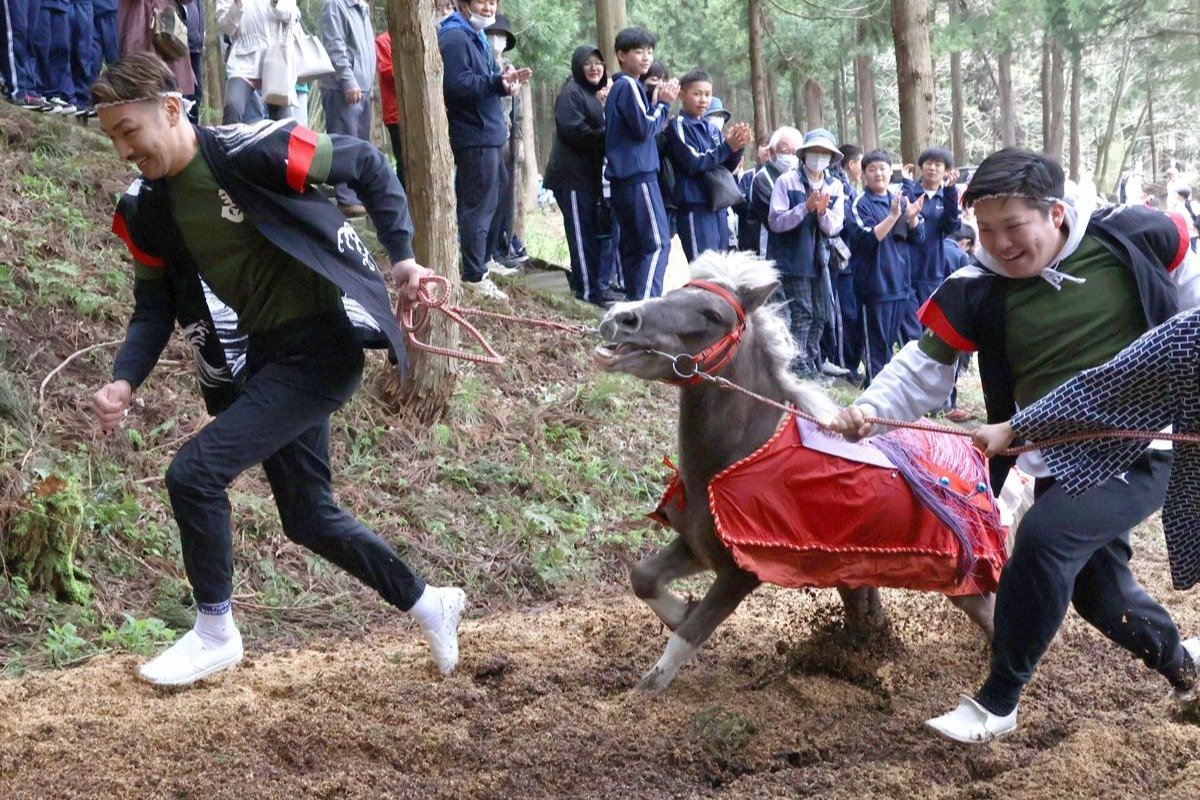馬が急な坂を駆け上がる！胎内市で五穀豊穣願う伝統行事「シャング