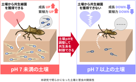 土壌が害虫発生に関わる仕組みを解明 国立研究開発法人産業技術総合
