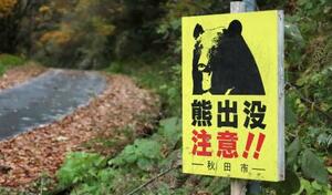 　秋田市の林道でクマへの注意を呼びかける看板＝１１日午後
